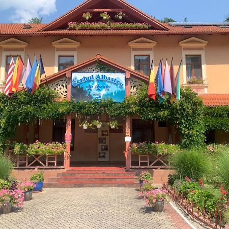 Vila Cerbul Albastru Hotel Moneasa Buitenkant foto