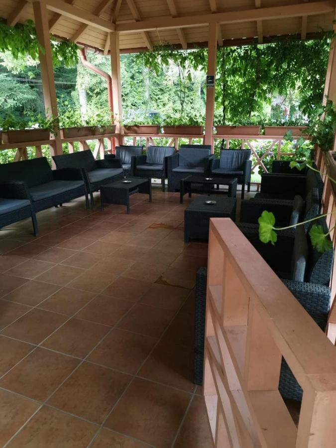 Vila Cerbul Albastru Hotel Moneasa Buitenkant foto