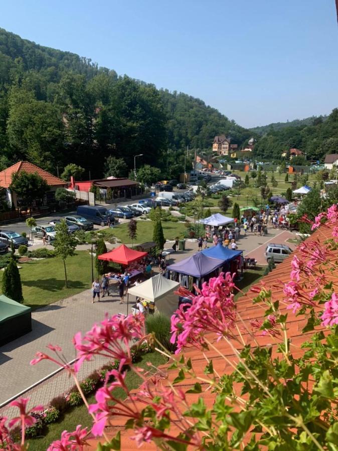 Vila Cerbul Albastru Hotel Moneasa Buitenkant foto