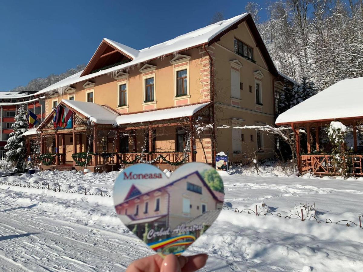 Vila Cerbul Albastru Hotel Moneasa Buitenkant foto