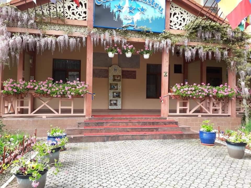 Vila Cerbul Albastru Hotel Moneasa Buitenkant foto