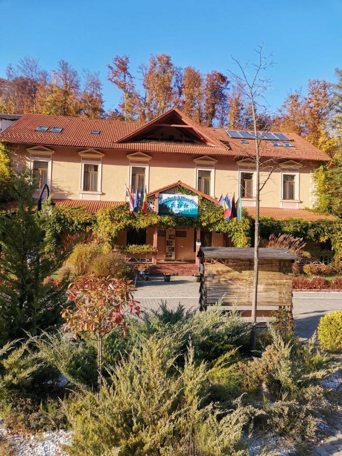 Vila Cerbul Albastru Hotel Moneasa Buitenkant foto