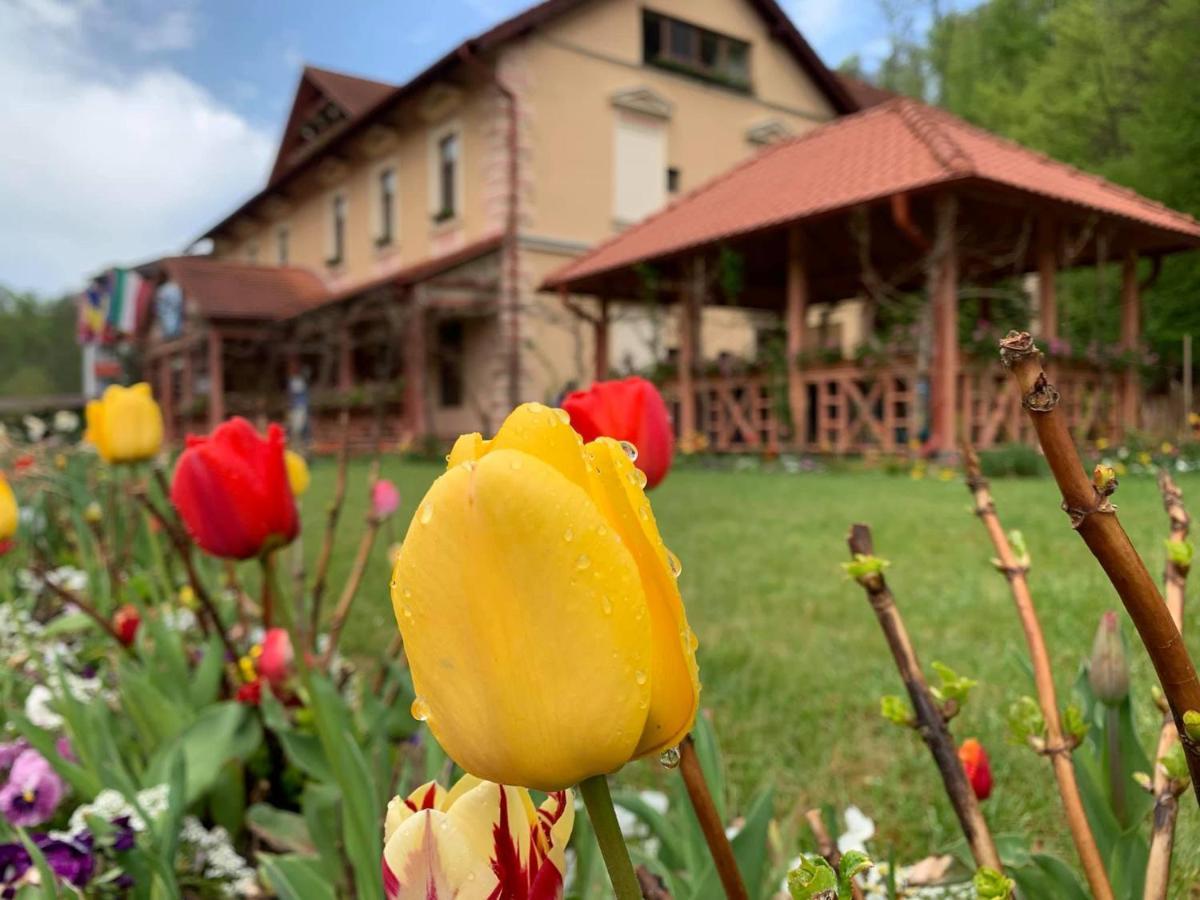 Vila Cerbul Albastru Hotel Moneasa Buitenkant foto