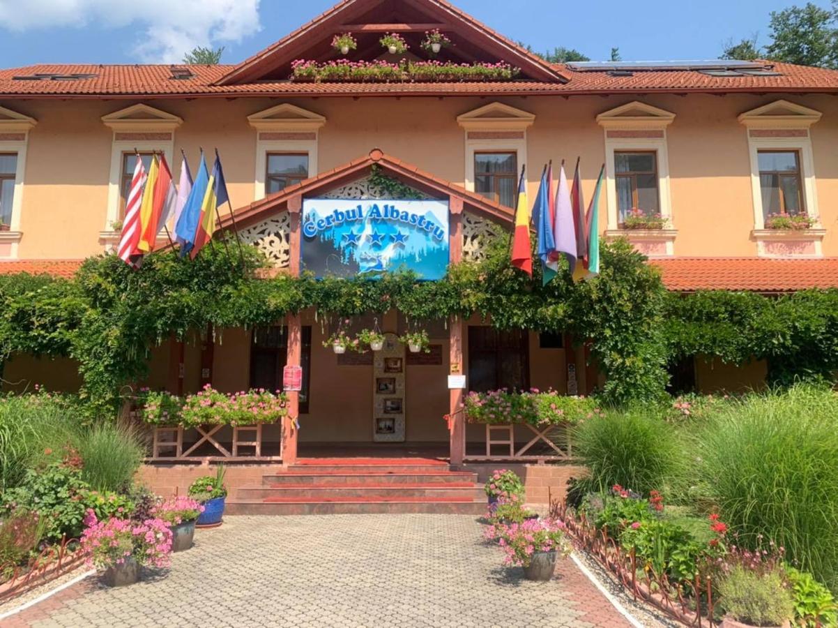 Vila Cerbul Albastru Hotel Moneasa Buitenkant foto