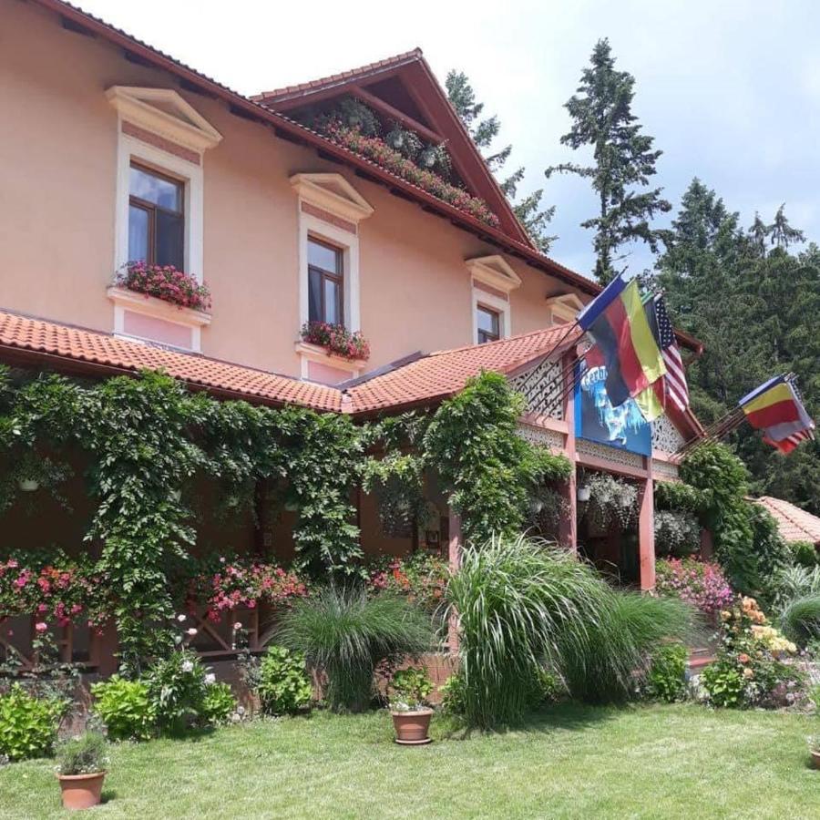 Vila Cerbul Albastru Hotel Moneasa Buitenkant foto