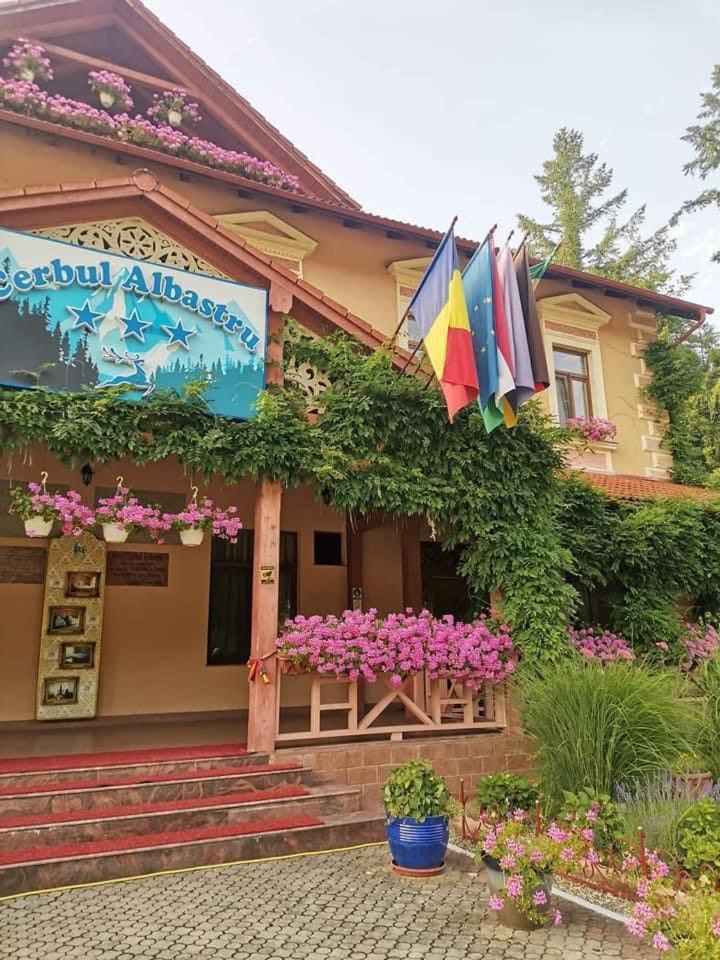 Vila Cerbul Albastru Hotel Moneasa Buitenkant foto